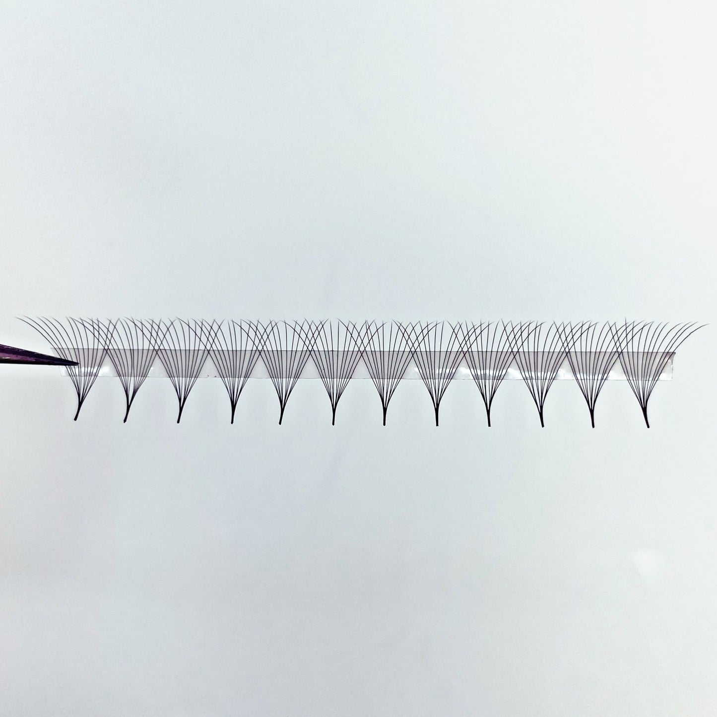 12D Promade Lash Fans single size box of 1000